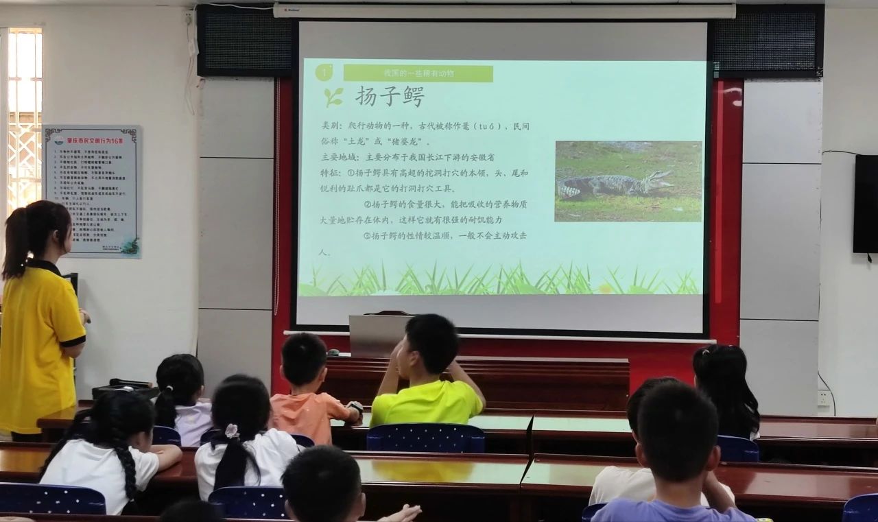 图片 14