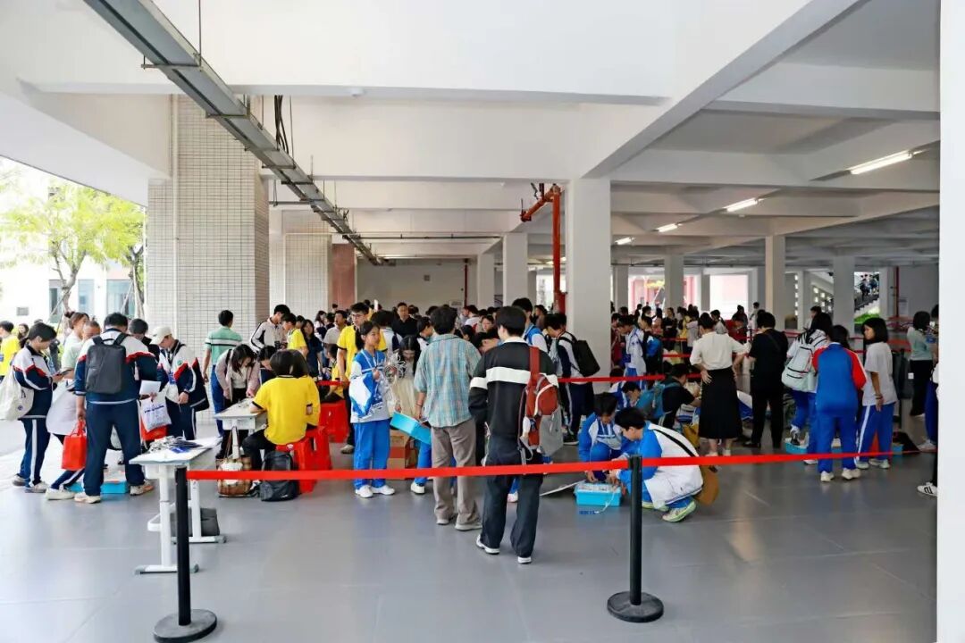 IMG_256 IMG_256