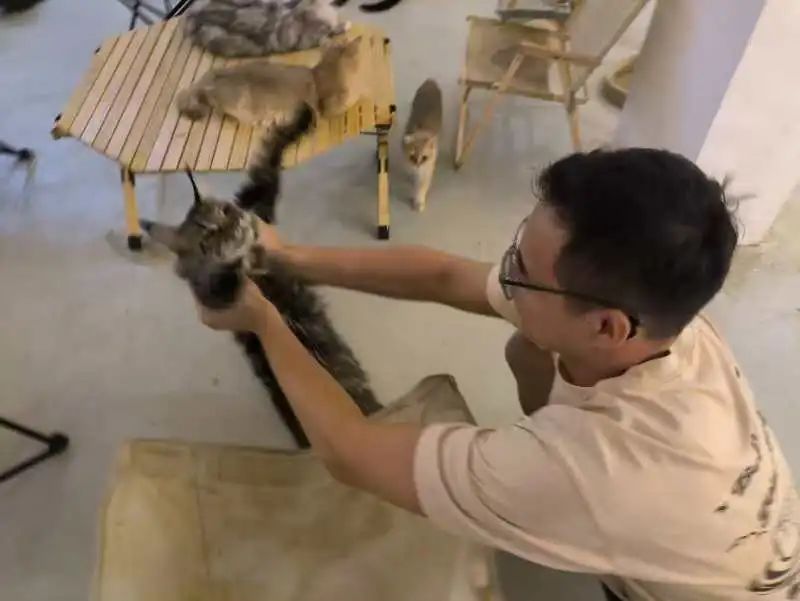 图片 2 图片 2