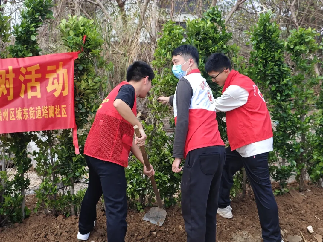 图片 7 图片 7